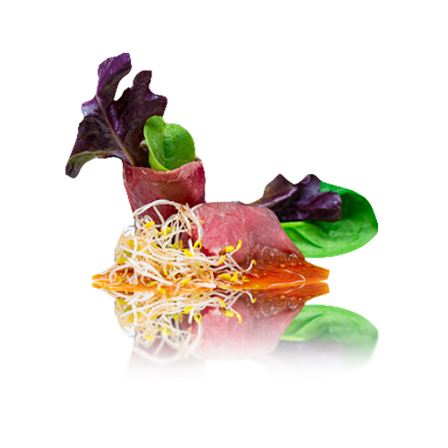 Beef Carpaccio Salad | 2 st